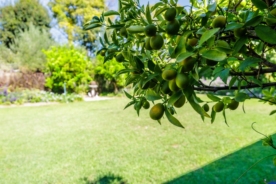 5 Bedroom Property for Sale in Paradyskloof Western Cape